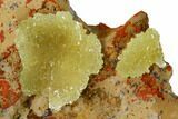 Yellow-Green Austinite Crystal Formation - Durango, Mexico #154715-1